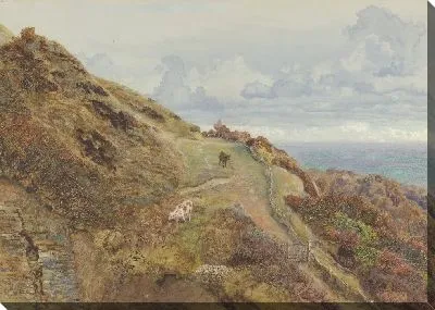 Бончерч Даунс