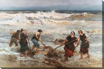 Собиратели морских водорослей