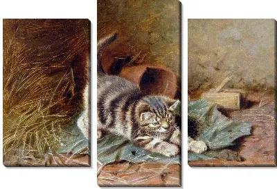 Модульная картина Котенок (Kitten) №4