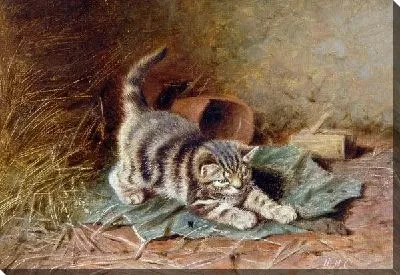 Картина маслом Котенок (Kitten) №4