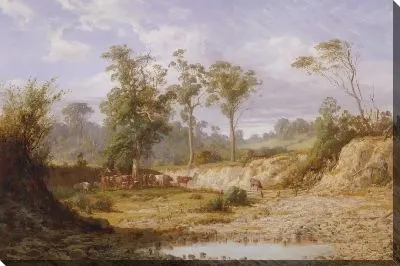 Картина Гудман Крик, Бахус Марш, Виктория