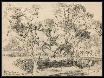 Тулерн Крик, Мелтон