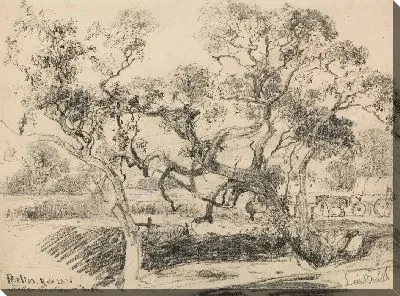 Картина Тулерн Крик, Мелтон