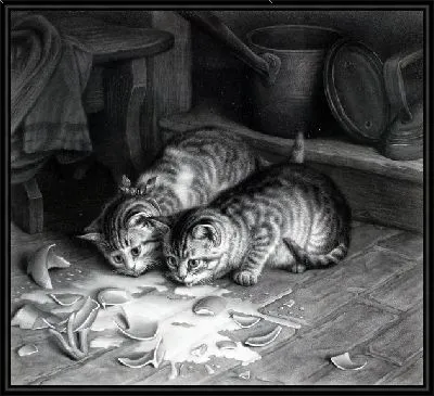 Котята пьющие молоко (Kittens drink milk)