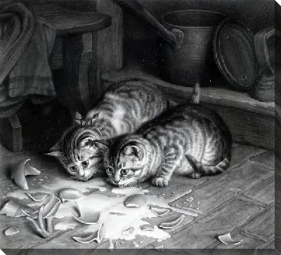 Котята пьющие молоко (Kittens drink milk)