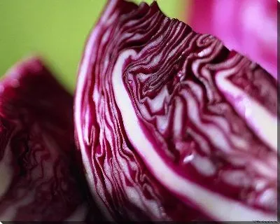 Картина Дом возле нижних ворот сада