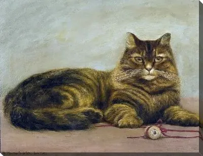 Картина маслом Кошка (Cat)