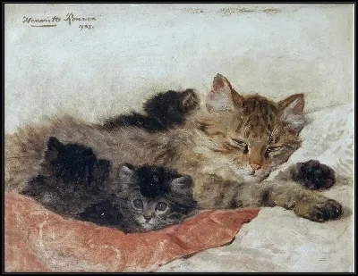 картина