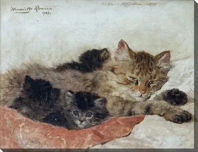 Картина Кошка с котятами (A cat with kittens)