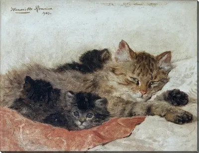 картина