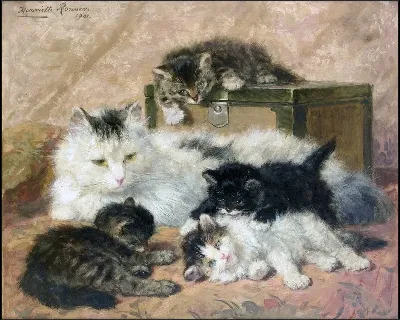 картина