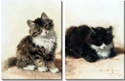 Модульная картина Котята (Kittens) №4