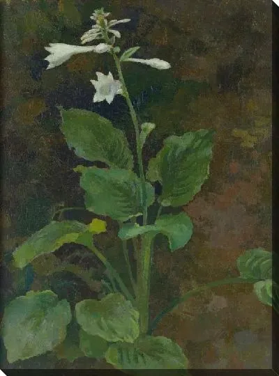 Картина кашель