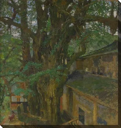 Дерево Гинкго