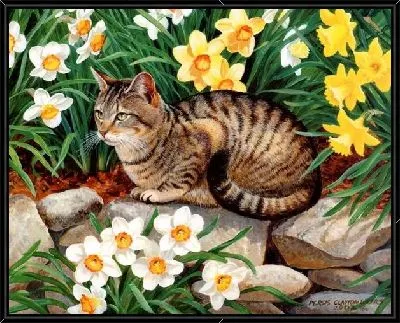 Картина Кошка (Cat) №2