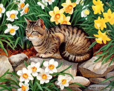 Картина Кошка (Cat) №2