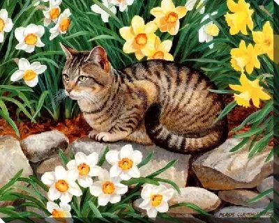 Картина Кошка (Cat) №2