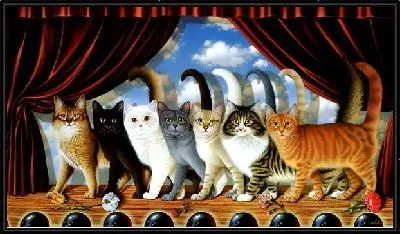 Кошки (Cats) №3