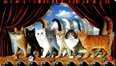 Картина Кошки (Cats) №3