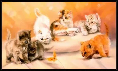 Картина Котята и бабочка (Kitten and Butterfly)