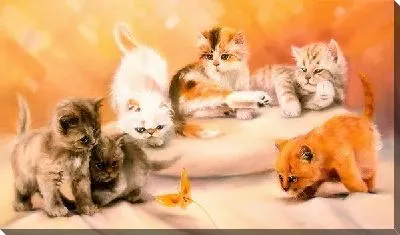 Картина маслом Котята и бабочка (Kitten and Butterfly)