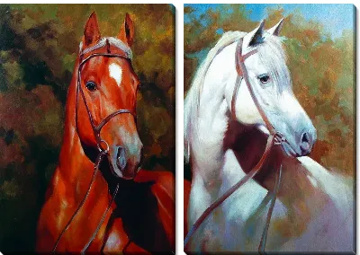 Модульная картина Лошади (Horses) №2
