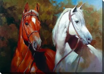 Постер Лошади (Horses) №2