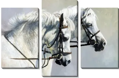 Модульная картина Лошади (Horses) №4