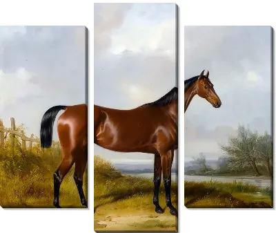 Модульная картина Лошадь (Horse) №4