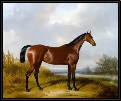 Картина Лошадь (Horse) №4