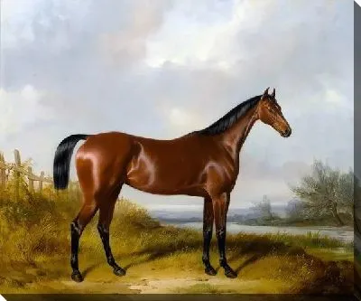 Картина маслом Лошадь (Horse) №4