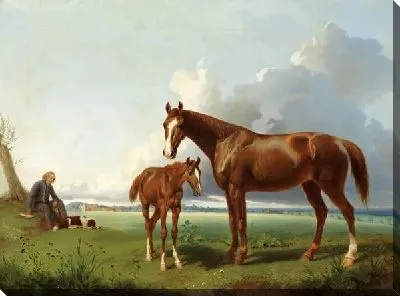 Картина маслом Лошадь с жеребенком (A horse with a foal)