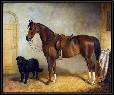 Картина Лошадь и собака (Horse and dog)