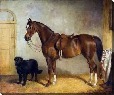 Картина Лошадь и собака (Horse and dog)