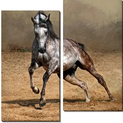 Модульная картина Арабская лошадь (Arabian horse)