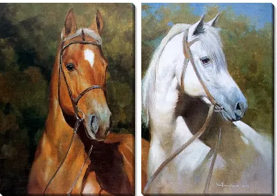 Модульная картина Лошади (Horses) №12
