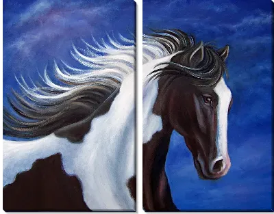 Модульная картина Черно-белая лошадь (Black and white horse)