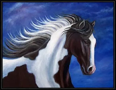 Картина Черно-белая лошадь (Black and white horse)