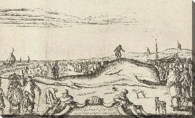 Картина Скрученный кит на пляже в Нордвейке, 1614 г.