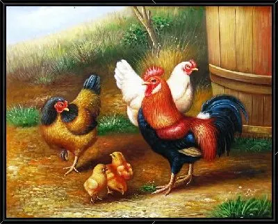 Курицы (Chickens)