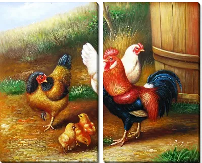 Курицы (Chickens)