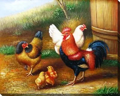 Курицы (Chickens)
