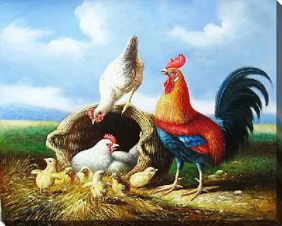 Картина маслом Курицы (Chickens) №2