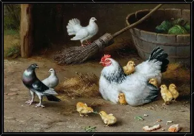 Курица с цыплятами (The hen with her chicks)