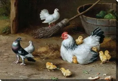 Курица с цыплятами (The hen with her chicks)