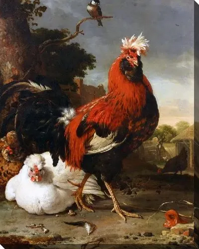 Картина Курицы (Chickens) №3