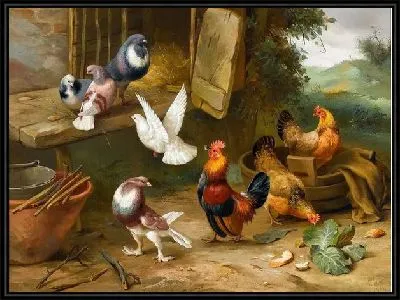Курицы и голуби (Chickens and pigeons)