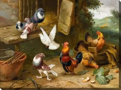 Картина маслом Курицы и голуби (Chickens and pigeons)