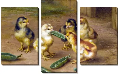 Модульная картина Цыплята (Chickens)