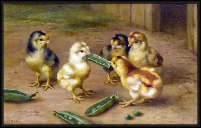 Картина Цыплята (Chickens)